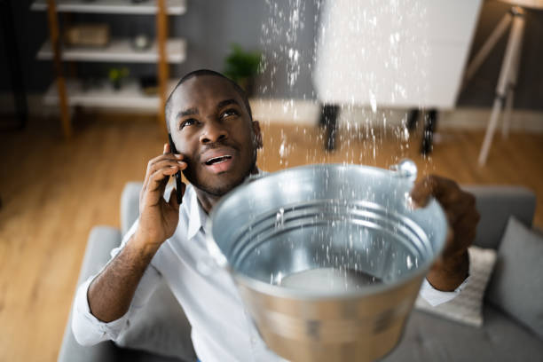 Best Carpet water damage restoration  in Giddings, TX