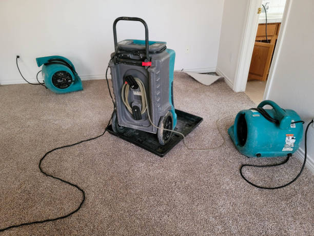 Best Flood restoration services  in Giddings, TX