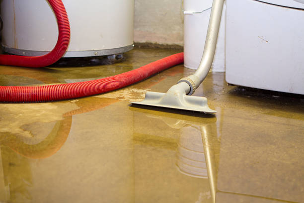 Best Carpet water damage restoration  in Giddings, TX