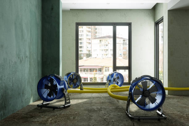 Best Water damage repair service  in Giddings, TX
