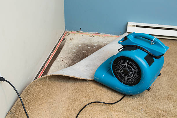 Best Emergency water damage restoration  in Giddings, TX